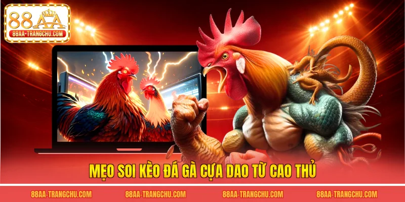 Mẹo soi kèo đá gà cựa dao từ cao thủ